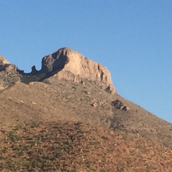 Meet your Posher, Silvia - Picture 1 of 1